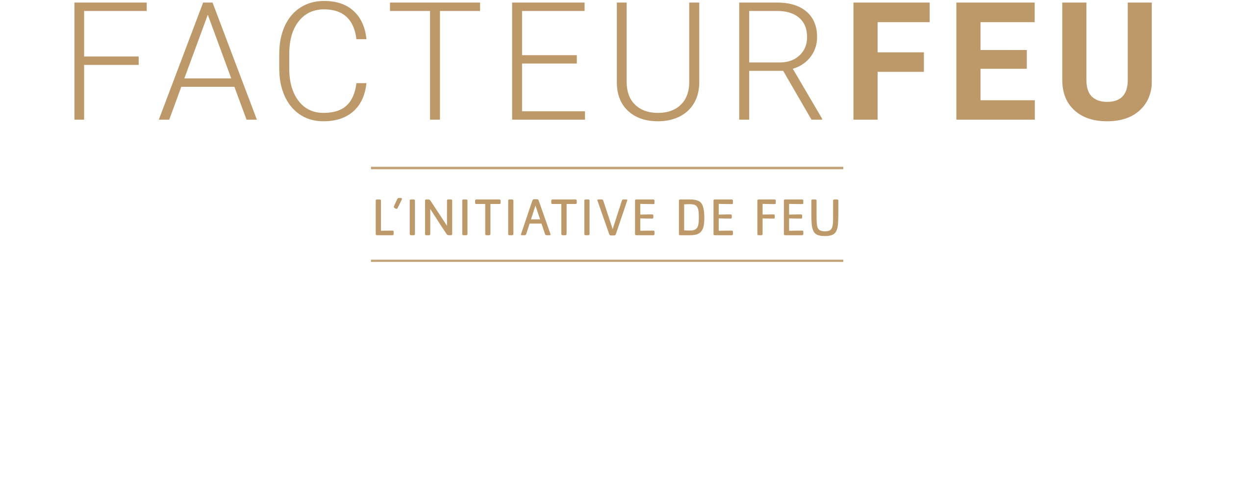 Facteur feu